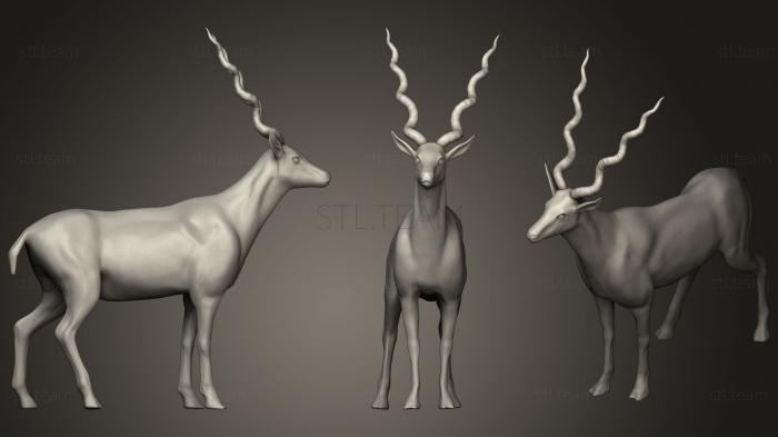 Статуэтки животных Gold Antelope